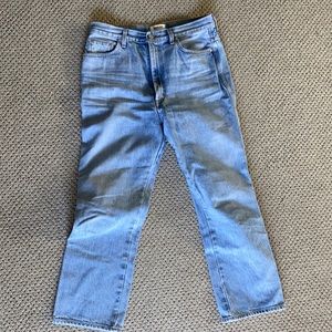 Agolde Pinch Waist High Rise